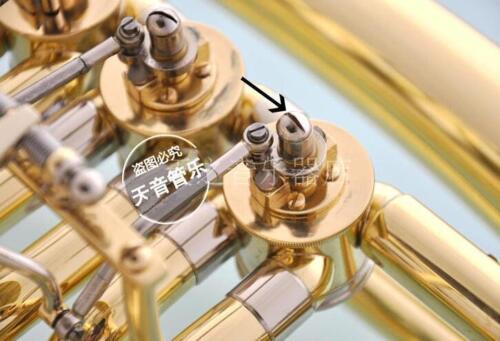50 pcs New French Horn Euphoni – Musical Instrument Euphonium recenzja i cena