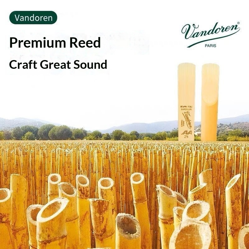 Hot Sales Vandoren Green Box A – Musical Instrument Euphonium recenzja i cena