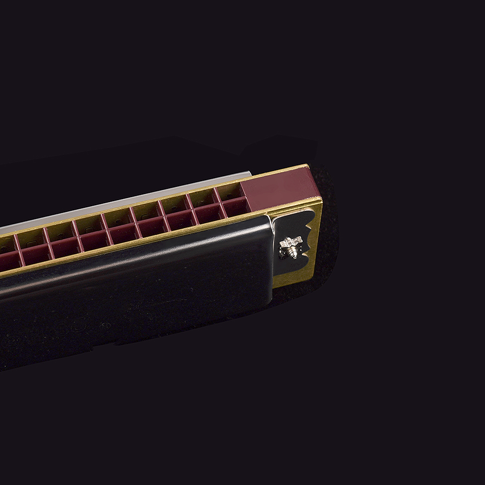 Swan Harmonica 28 Holes Tremol – Musical Instrument For Beginners recenzja i cena