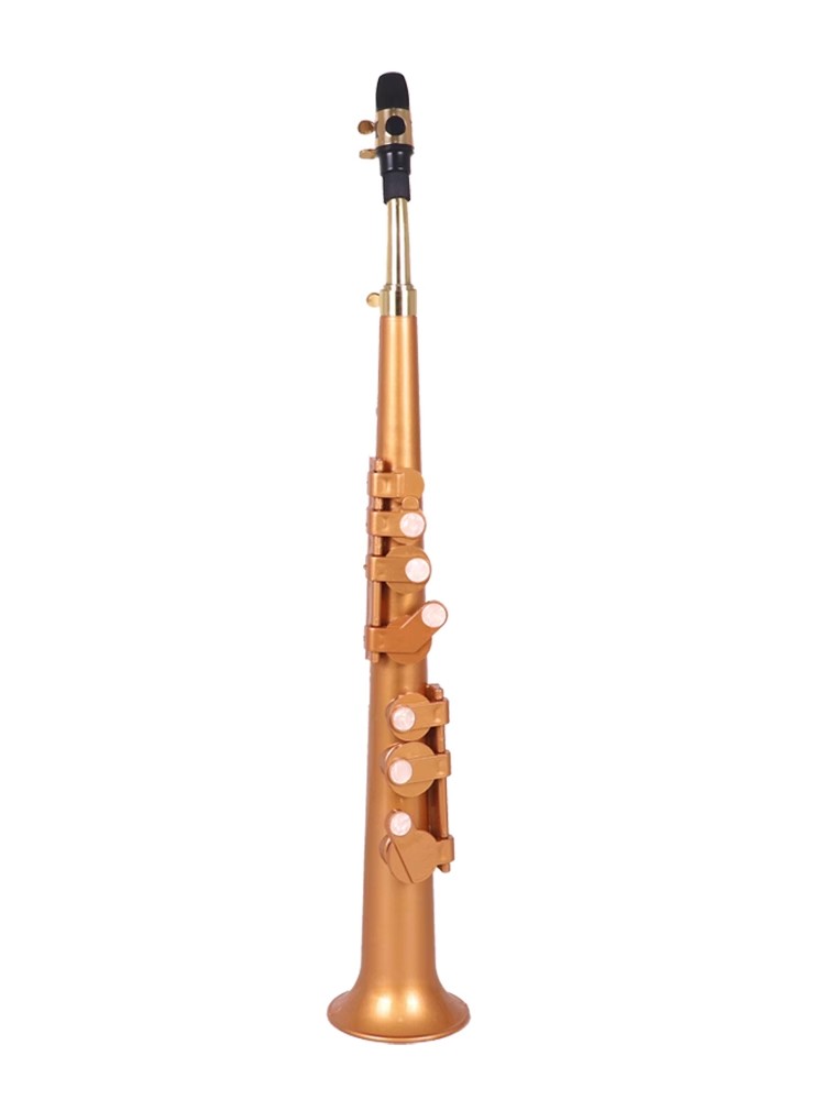 Saxophone Littlesax Pocket Sax – Musical Instrument Euphonium recenzja i cena