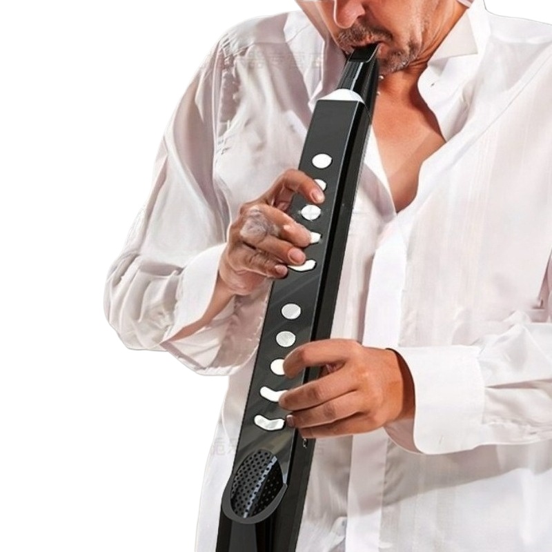 Portable Electric Saxophone Sm – Musical Instrument Euphonium recenzja i cena