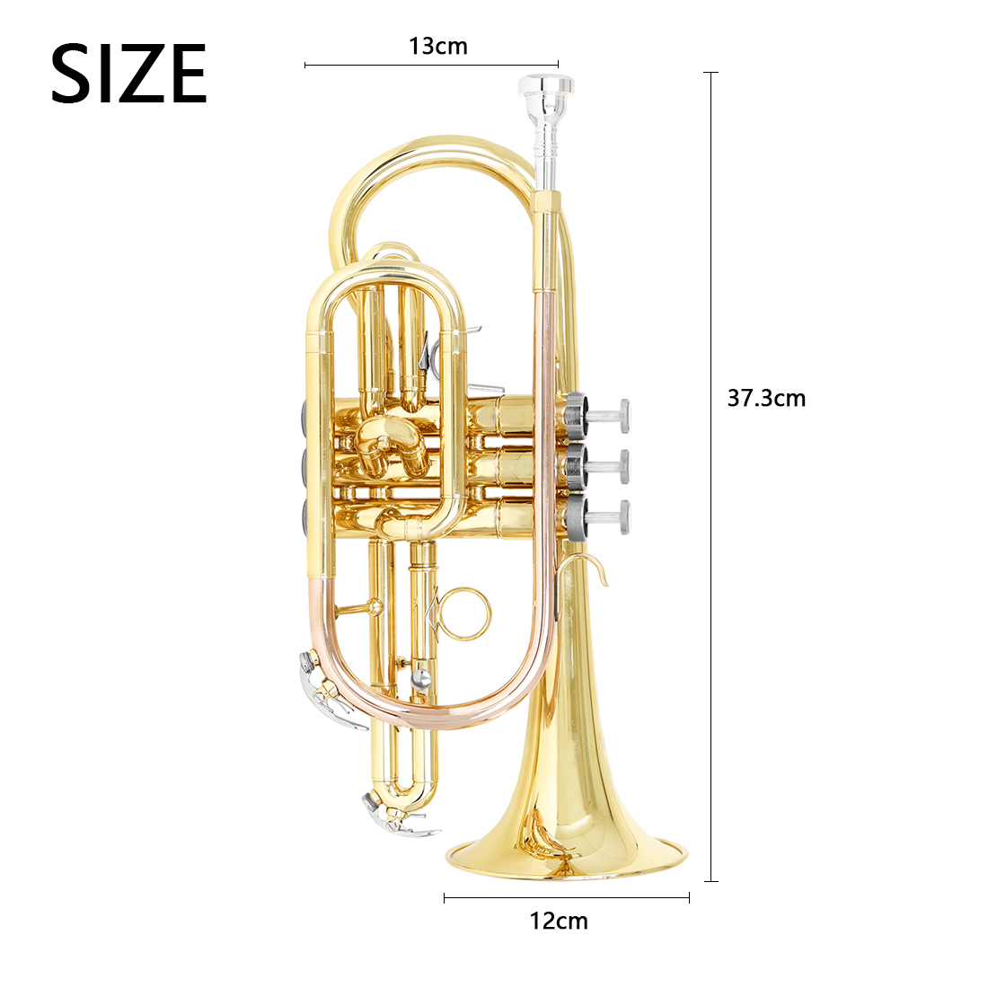SLADE Bb Cornet Lacquer Gold B – Musical Instrument Cornet recenzja i cena